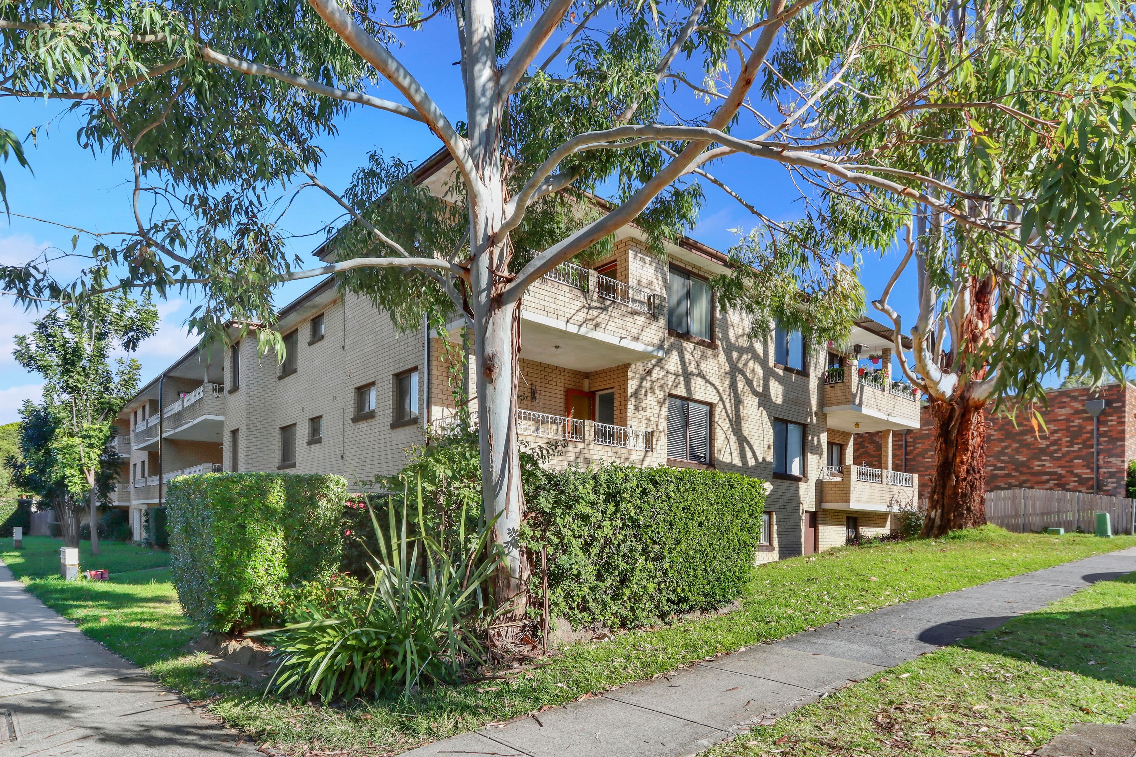 1 Shaftesbury Street, Carlton NSW 2218, Carlton - Thumbnail 6