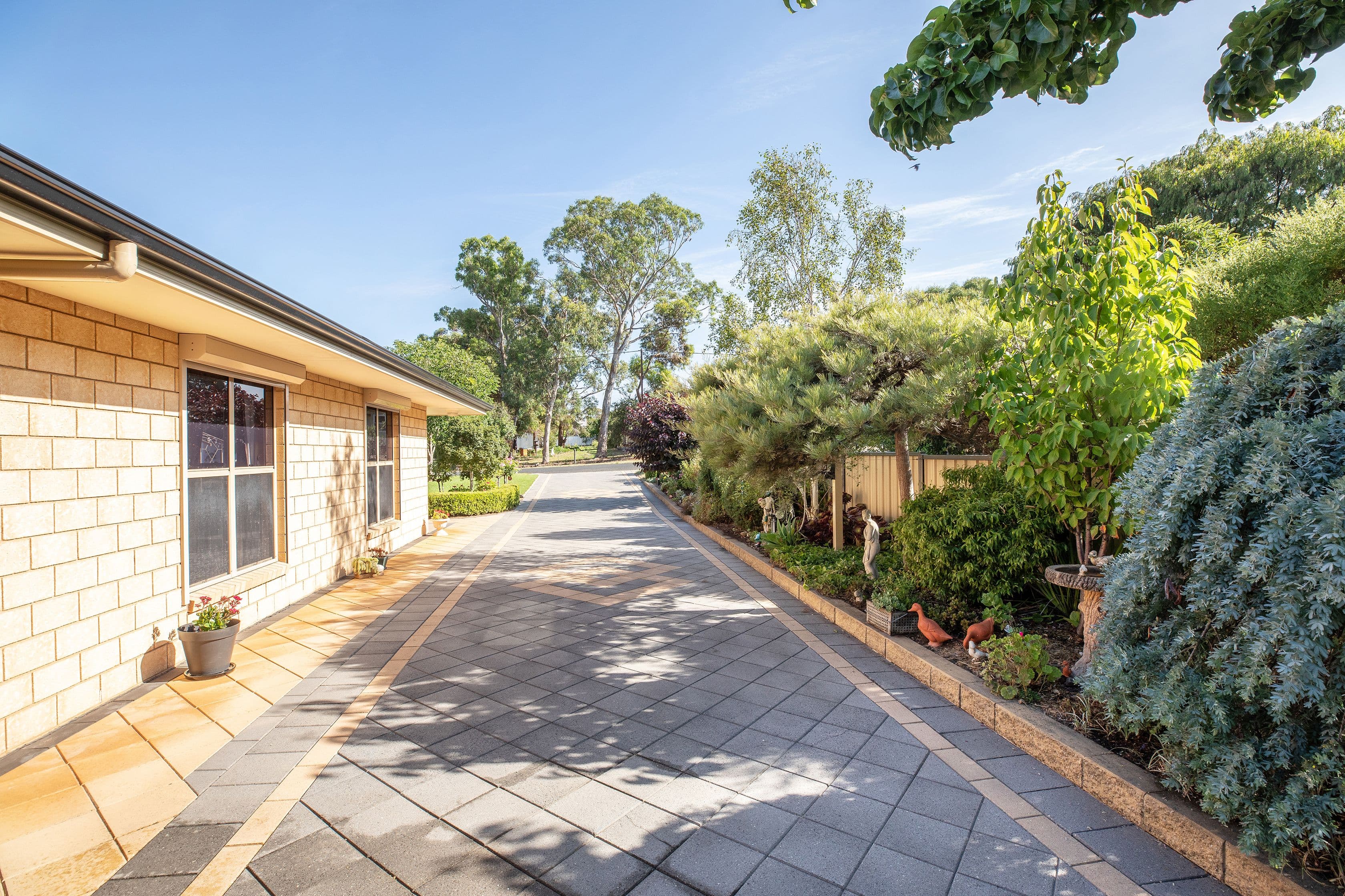 6 Ash Grove, Lucindale SA 5272, Lucindale - Thumbnail 5