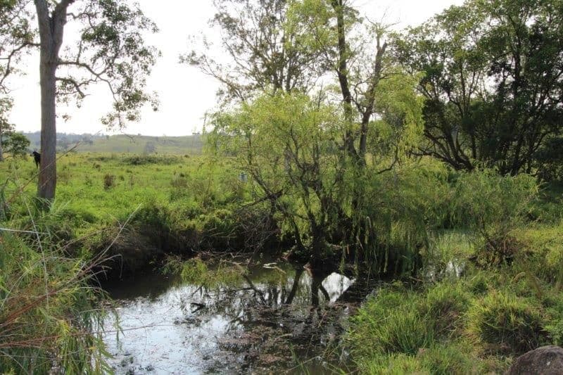 170A Lagoon Grass Road, LISMORE NSW 2480, Lismore - Thumbnail 2