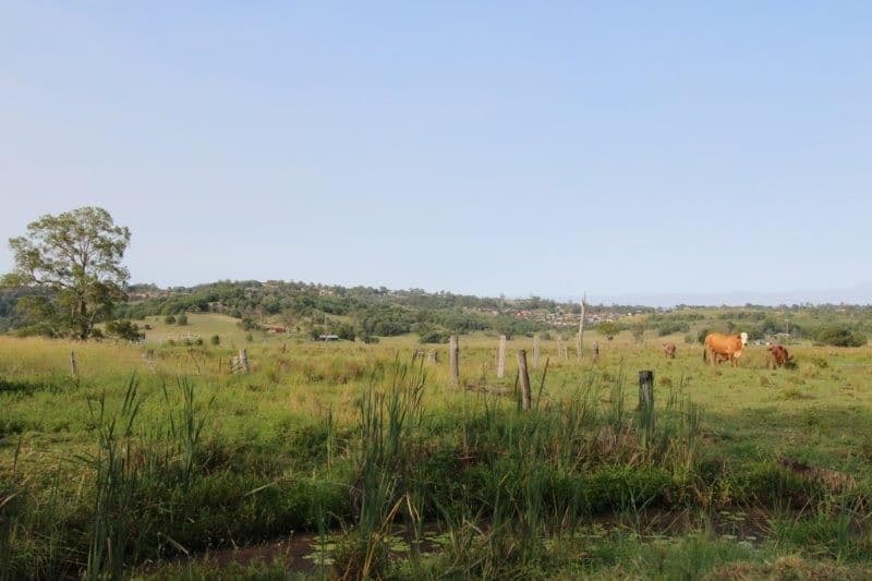 170A Lagoon Grass Road, LISMORE NSW 2480, Lismore - Thumbnail 5