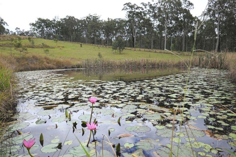 2186 Gwydir Highway, RAMORNIE NSW 2460, Ramornie - Thumbnail 5