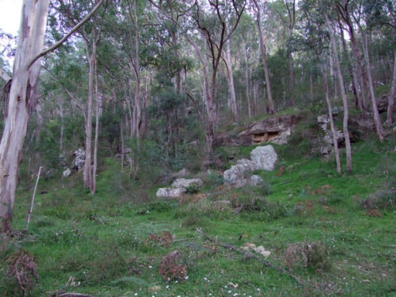 Lot 114 Commission Road, HOWES VALLEY NSW 2330, Howes Valley - Thumbnail 2