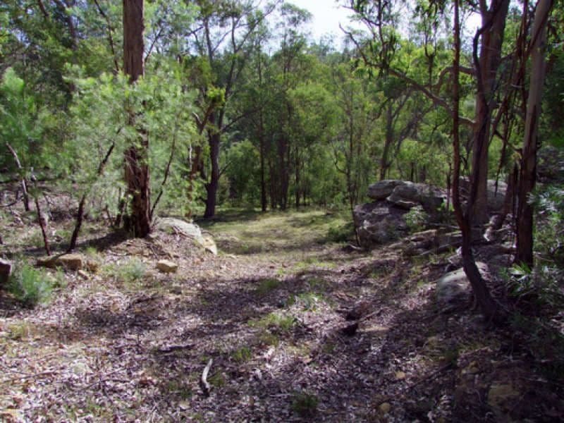 Lot 114 Commission Road, HOWES VALLEY NSW 2330, Howes Valley - Thumbnail 3