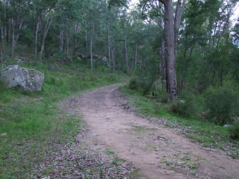 Lot 114 Commission Road, HOWES VALLEY NSW 2330, Howes Valley - Thumbnail 4