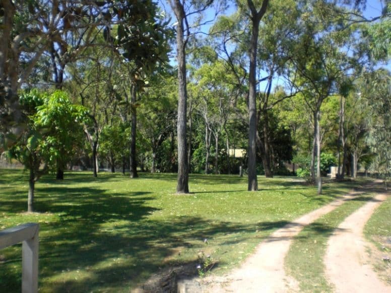 19 Bushby Court, BLACK RIVER QLD 4818, Black River - Thumbnail 4