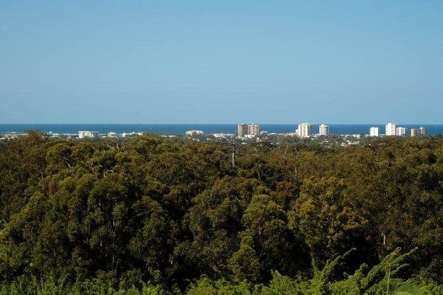 11  Hickory Court, BUDERIM QLD 4556, Buderim - Thumbnail 4