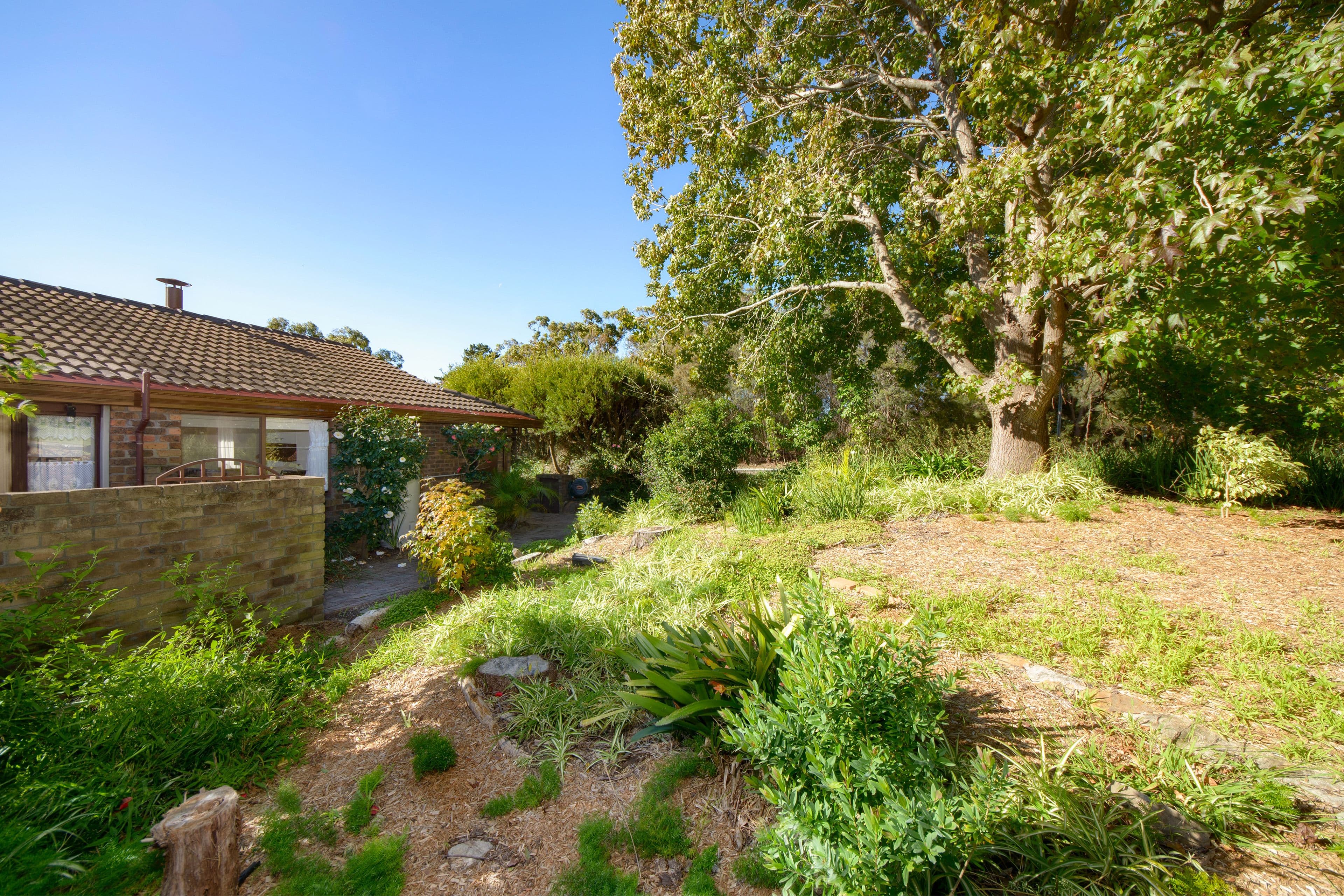 8 Barratta Place, Bangor NSW 2234, Bangor - Thumbnail 8