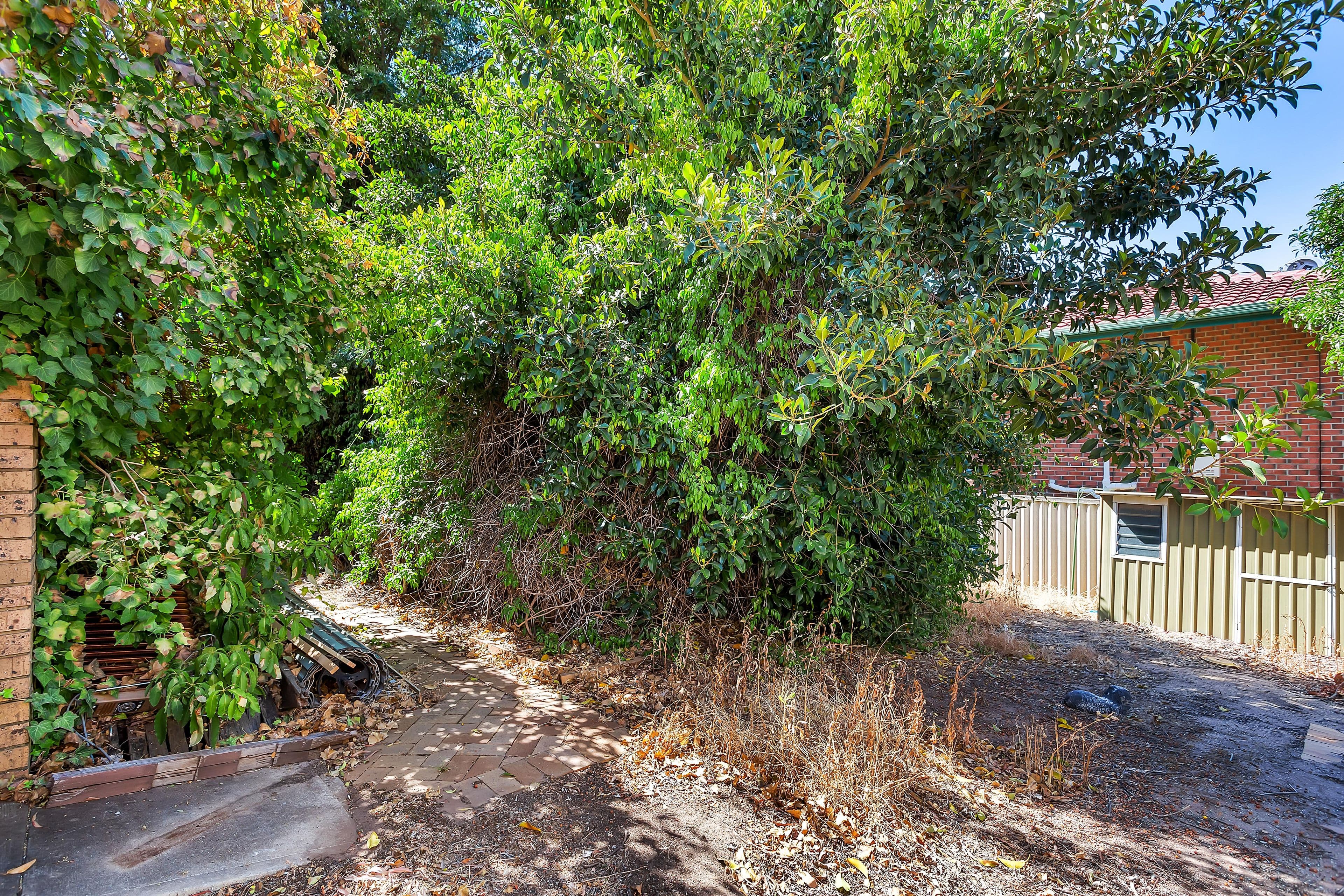 3 Kanangra Road, Dernancourt SA 5075, Dernancourt - Thumbnail 5