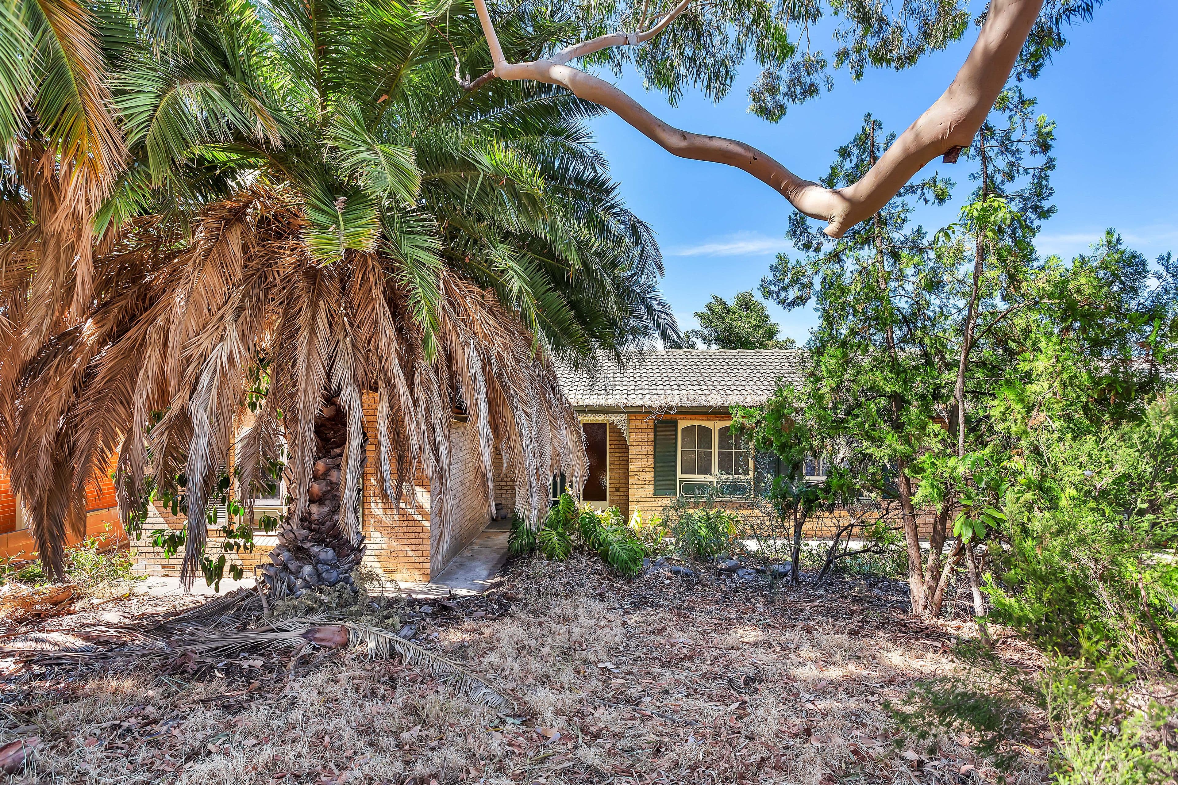 3 Kanangra Road, Dernancourt SA 5075, Dernancourt - Thumbnail 7