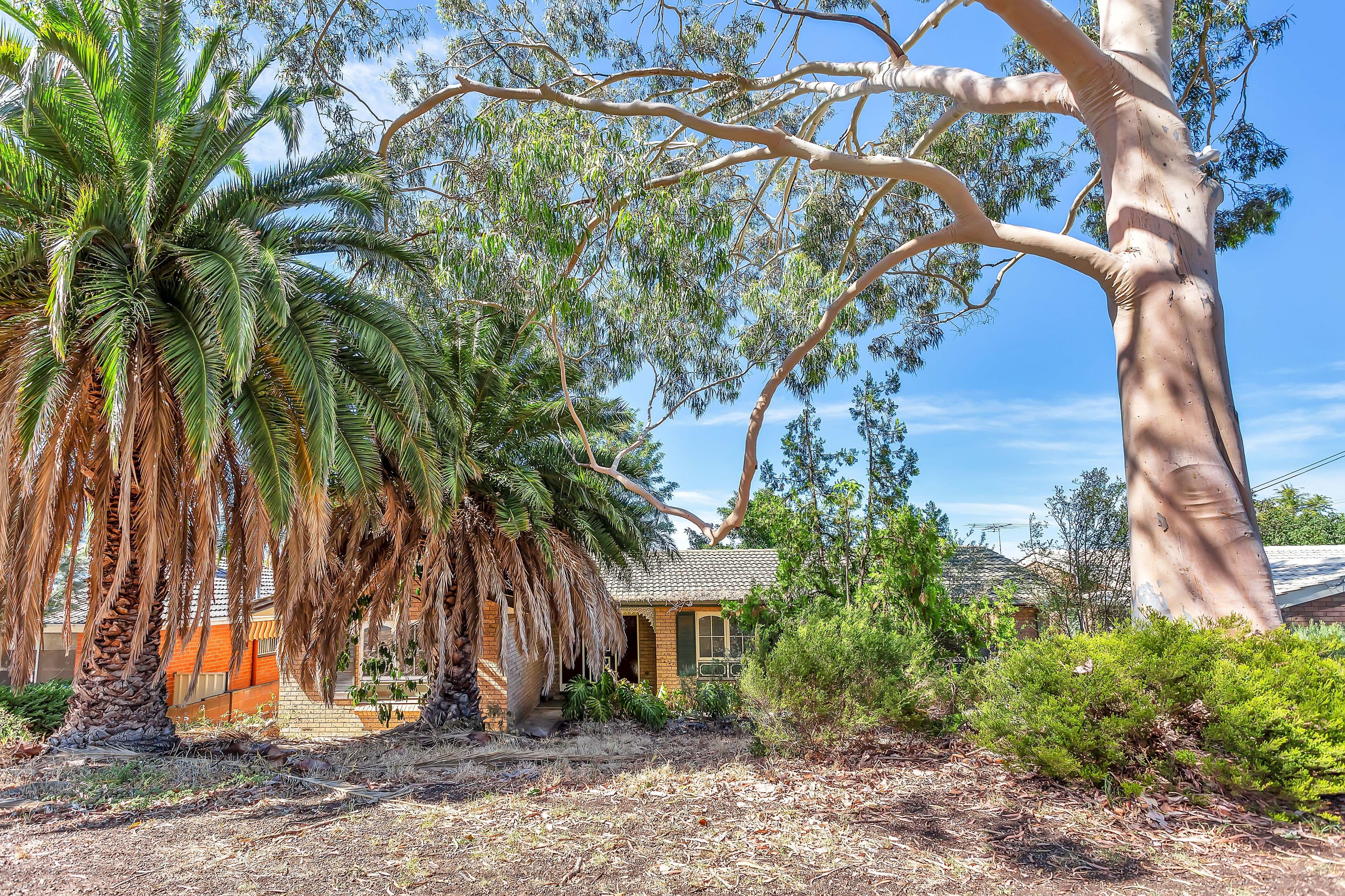 3 Kanangra Road, Dernancourt SA 5075, Dernancourt - Thumbnail 8