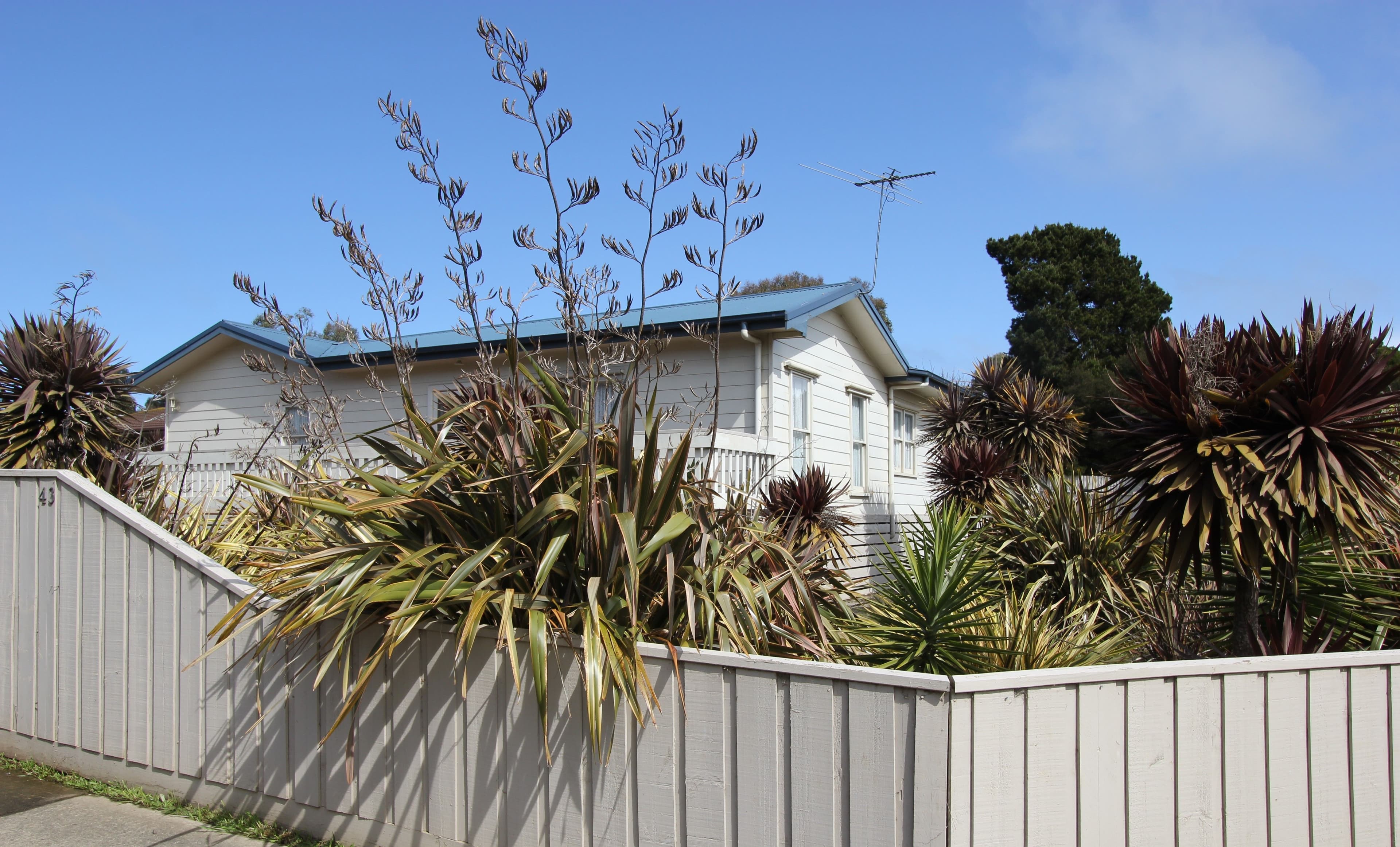 43 Phillip Island Road, Sunset Strip VIC 3922, Sunset Strip - Image 1