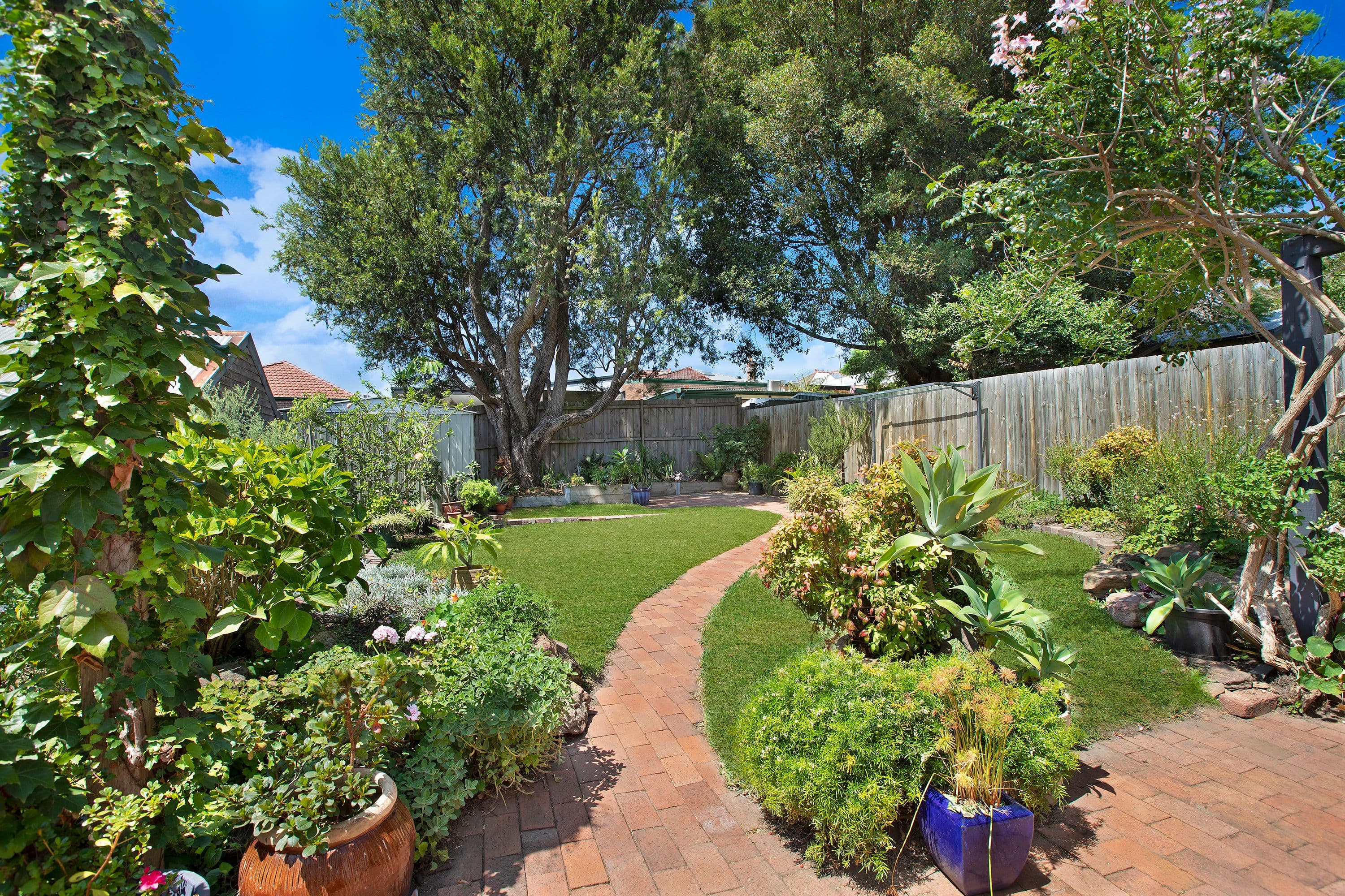 62 Millar Street, Drummoyne NSW 2047, Drummoyne - Thumbnail 2