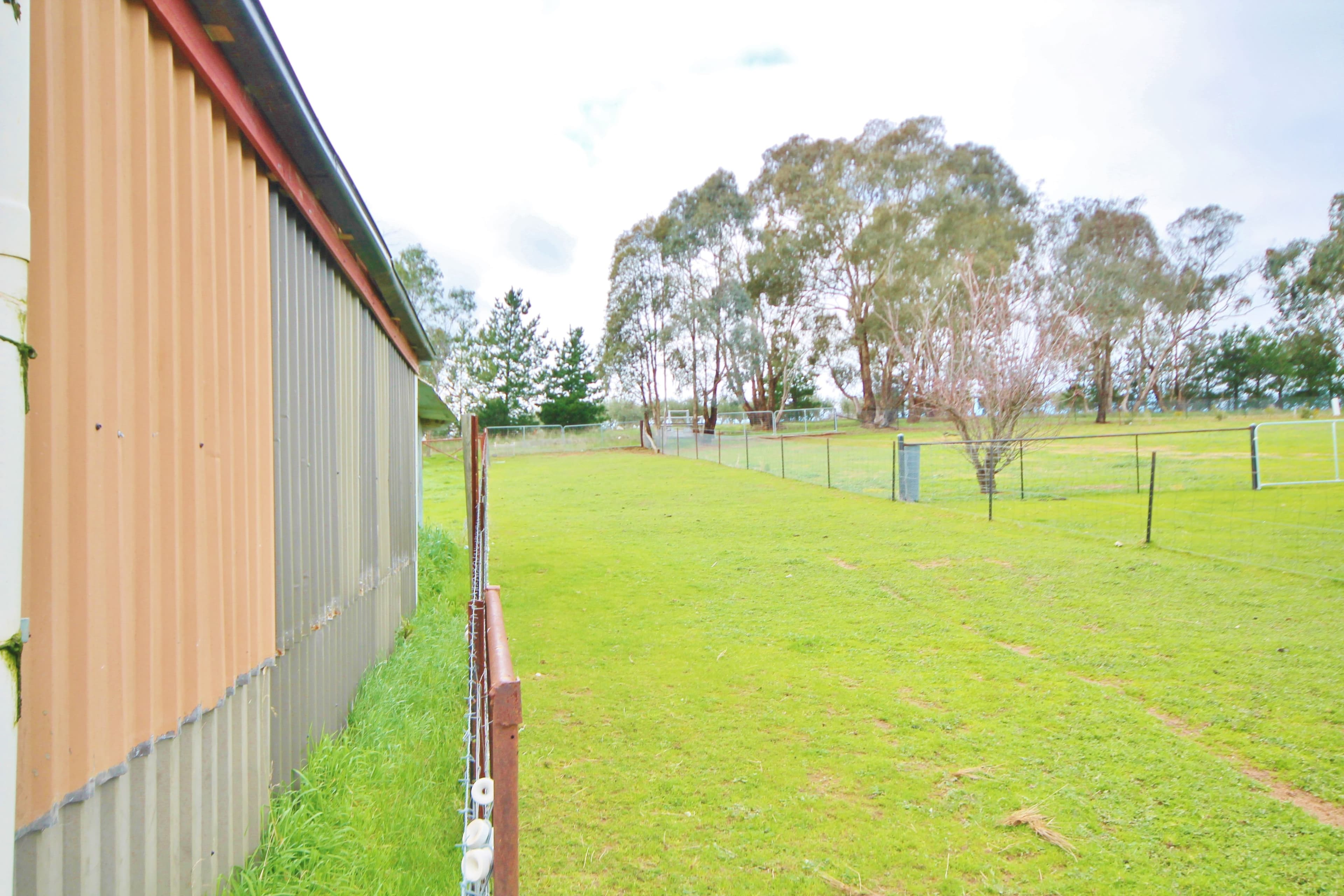 80 Apps Lane, Young - Thumbnail 5