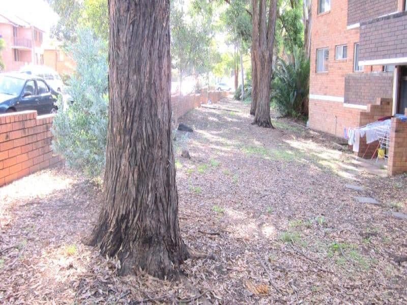 REGENTS PARK NSW 2143, Regents Park - Thumbnail 7