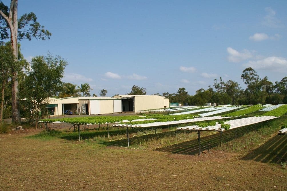 37 Grevillea Drive, REDRIDGE QLD 4660, Redridge - Thumbnail 6