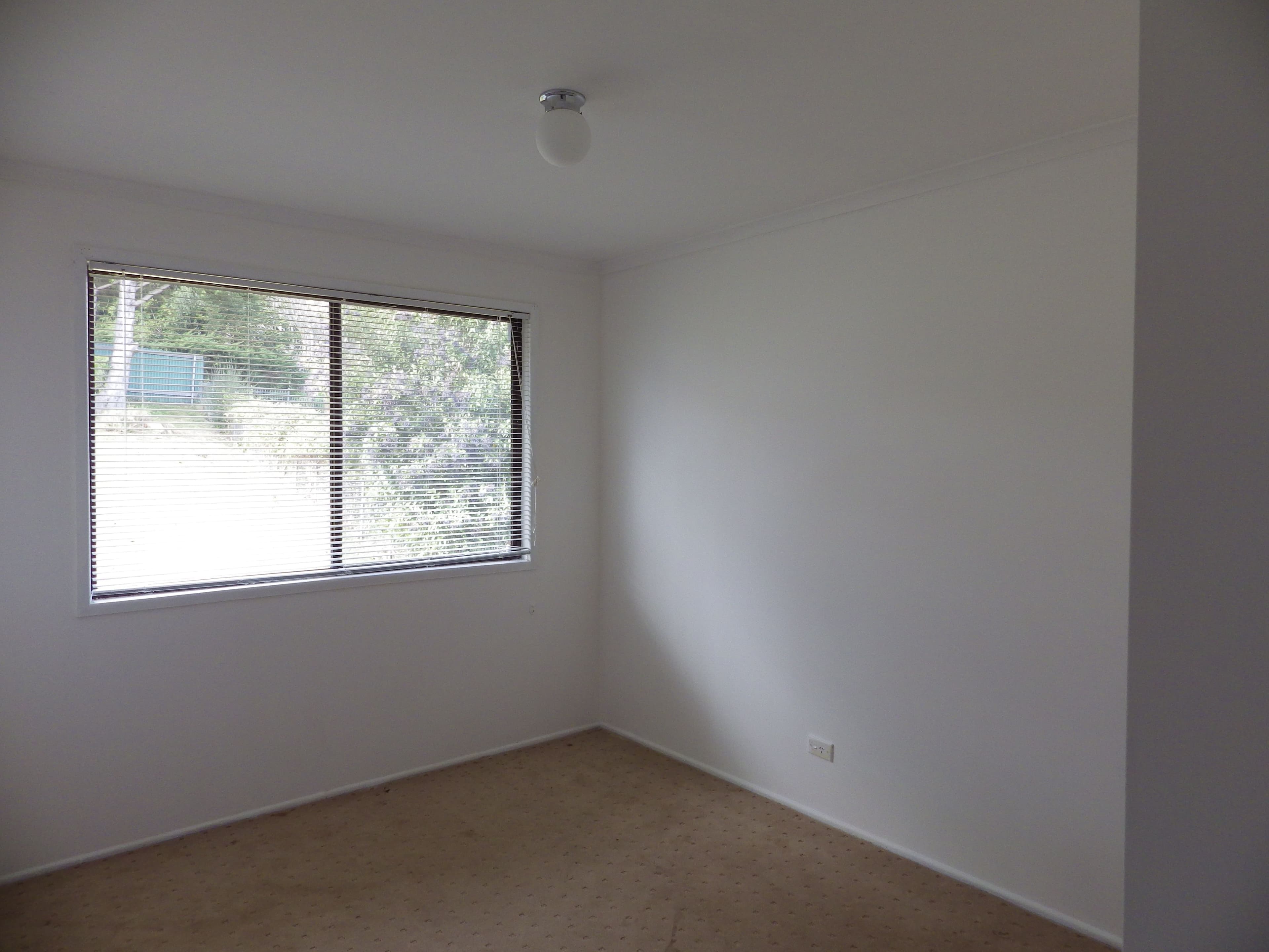 103 Hickory Street, Dorrigo - Thumbnail 8