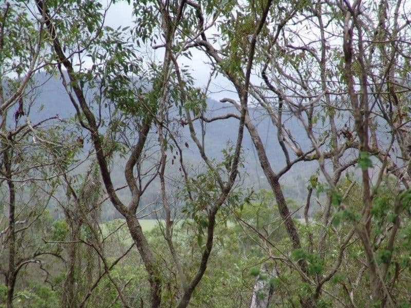 SARINA RANGE QLD 4737, Sarina Range - Thumbnail 2