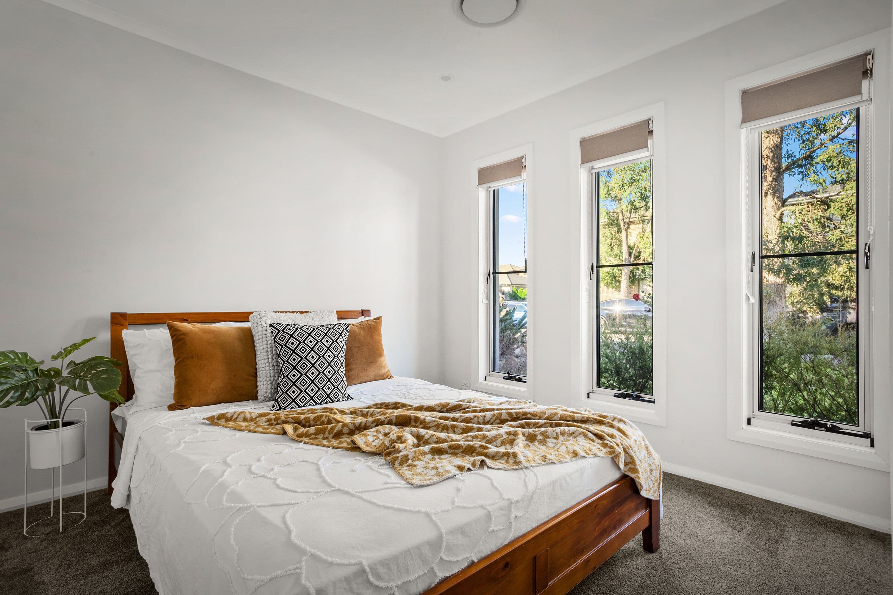 38 Everglades Street, The Ponds NSW 2769, The Ponds - Thumbnail 4