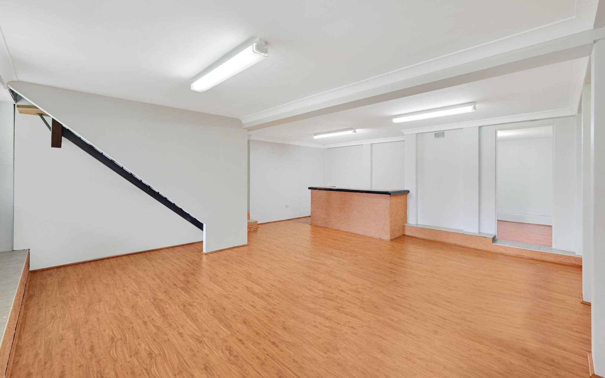 20 Wyangala Crescent, Leumeah NSW 2560, Leumeah - Thumbnail 6