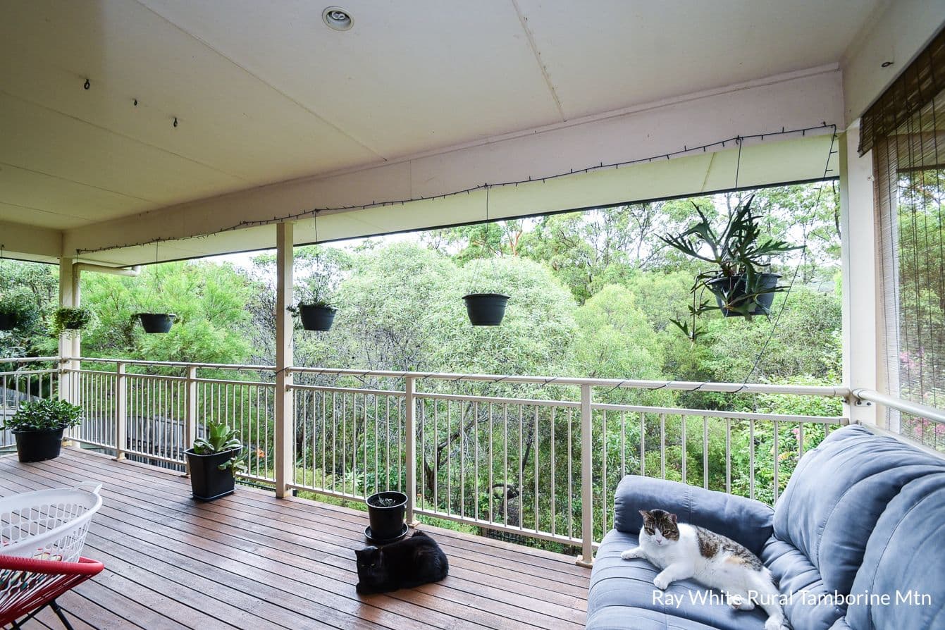 25 Wildflower Circuit, Upper Coomera QLD 4209, Upper Coomera - Image 1