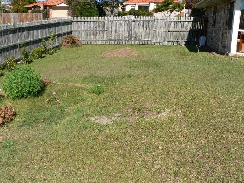 13/26 Rees Avenue, CLAYFIELD, QLD, 4011, Clayfield - Thumbnail 2