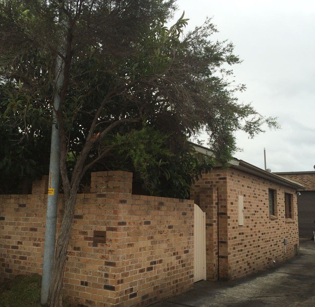 10 Albert Street, Corrimal - Image 1