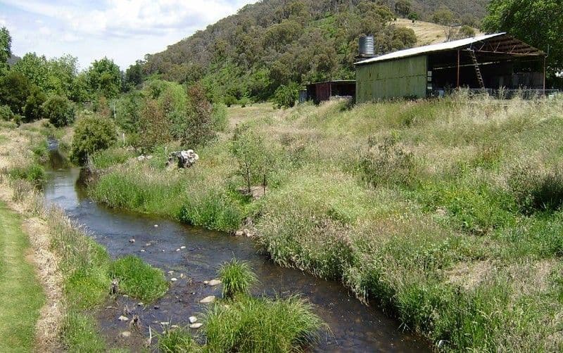 3752 Omeo Highway, ESKDALE VIC 3701, Eskdale - Thumbnail 3