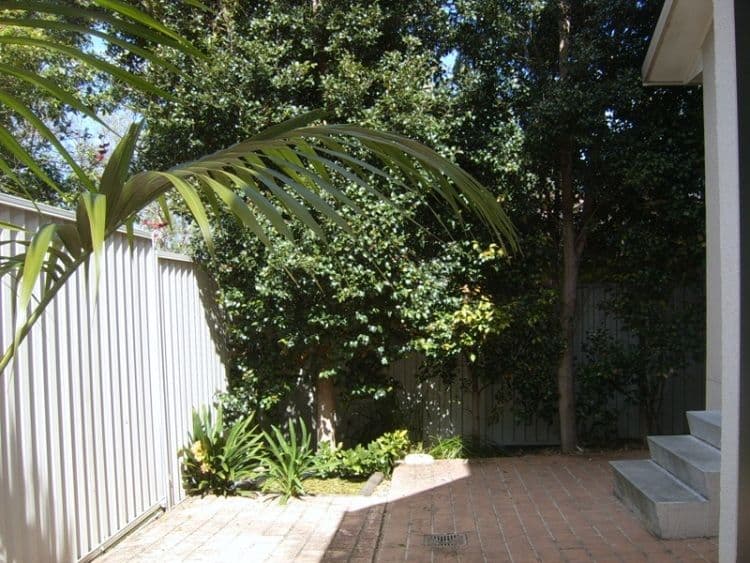 41  Mountain Road, AUSTINMER NSW 2515, Austinmer - Thumbnail 8