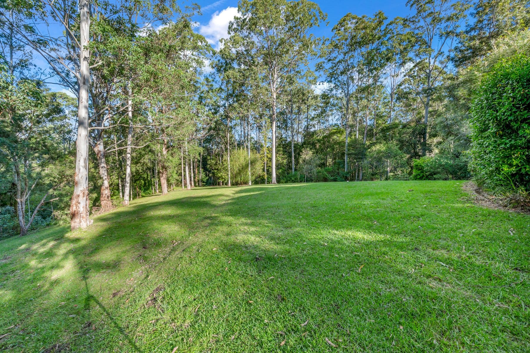 8/1953 Chichester Dam Road, Bandon Grove NSW 2420, Bandon Grove - Thumbnail 3