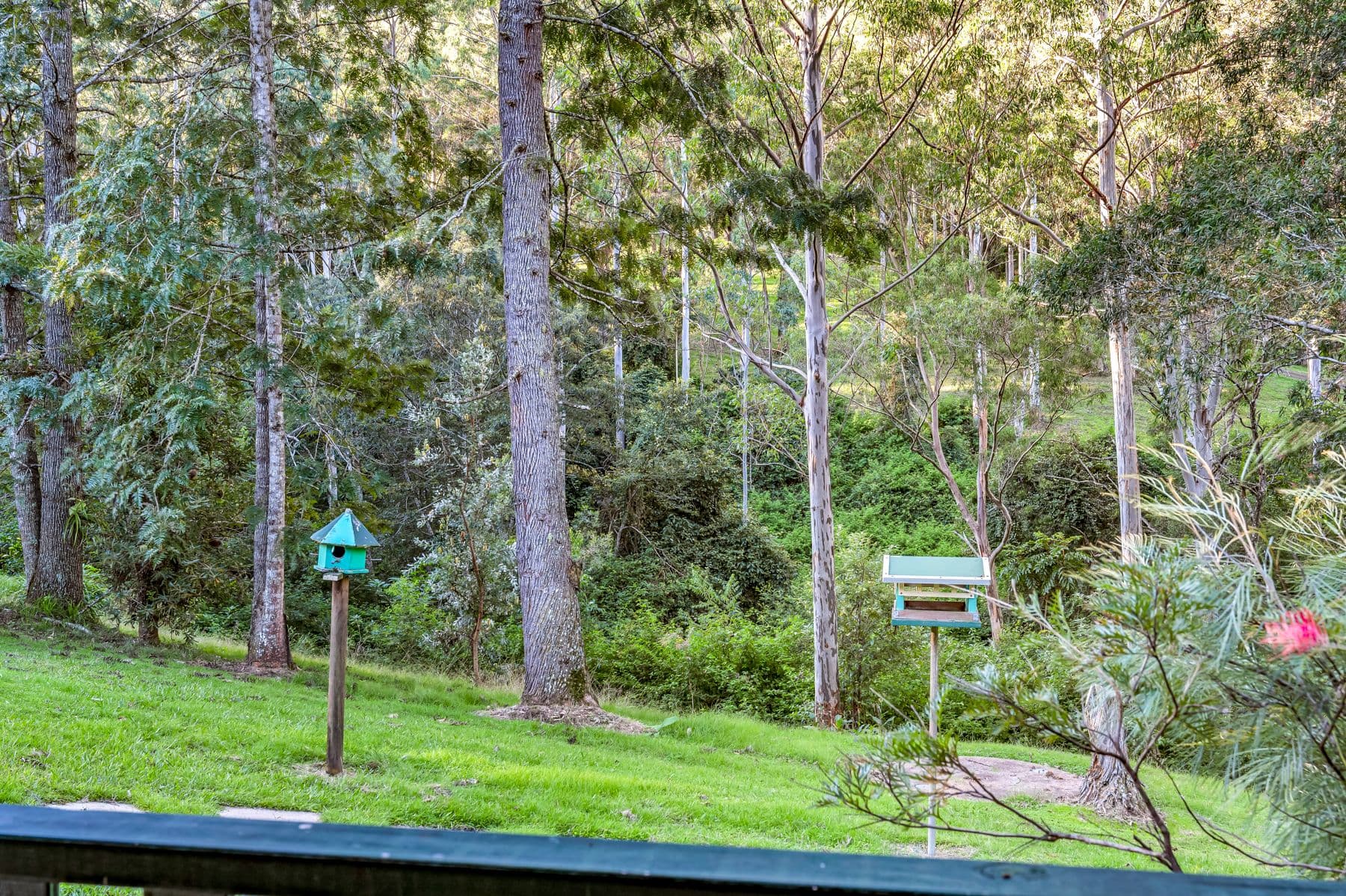 8/1953 Chichester Dam Road, Bandon Grove NSW 2420, Bandon Grove - Thumbnail 4