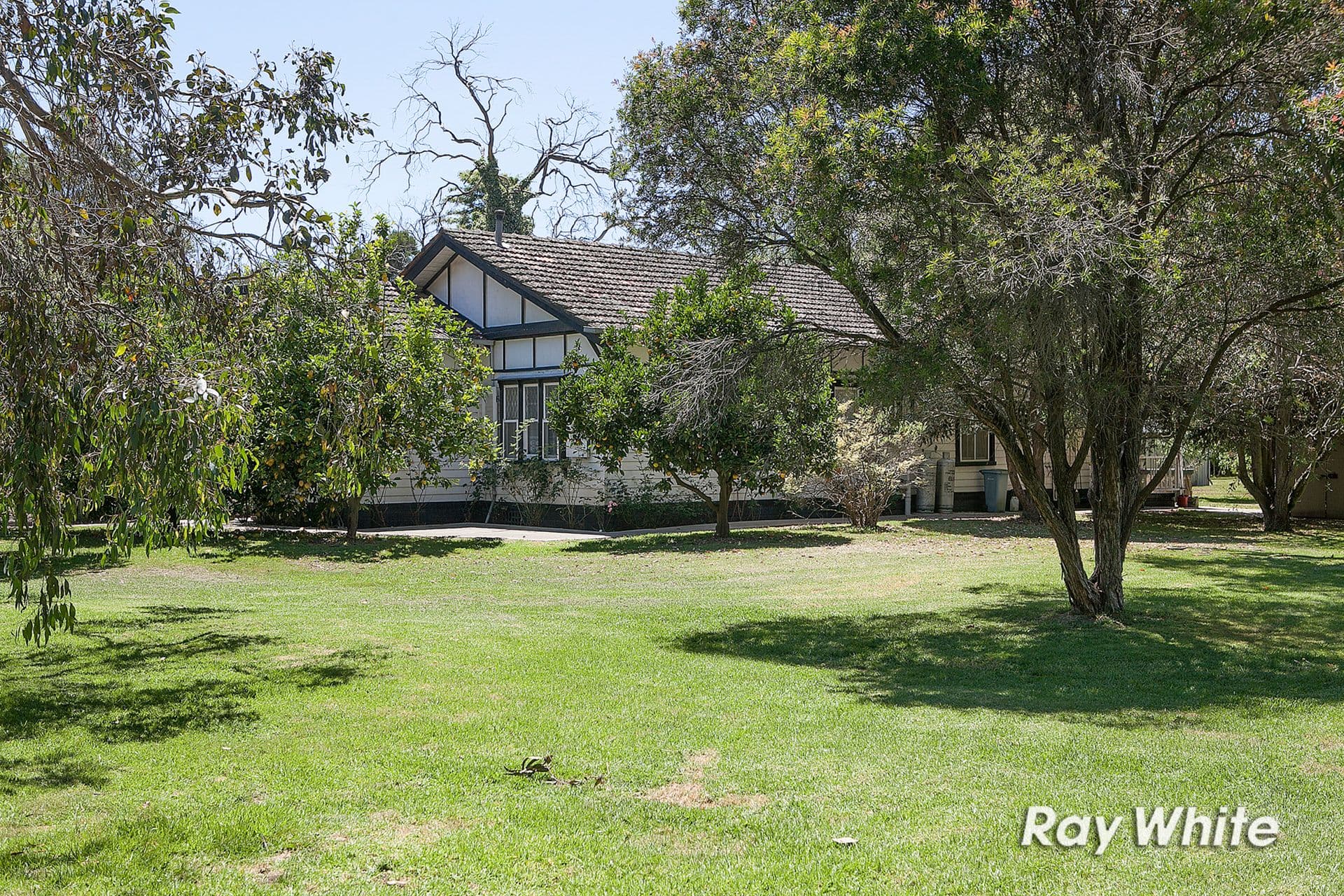 24 Barretts Road, Langwarrin South VIC 3911, Langwarrin South - Thumbnail 2