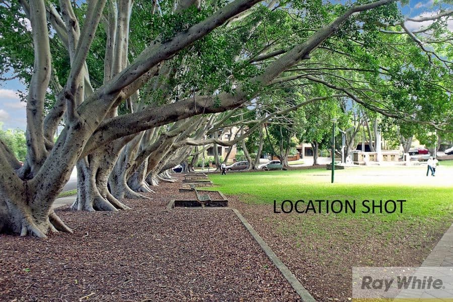 41 Maquarie Place, Mortdale NSW 2223, Mortdale - Thumbnail 5