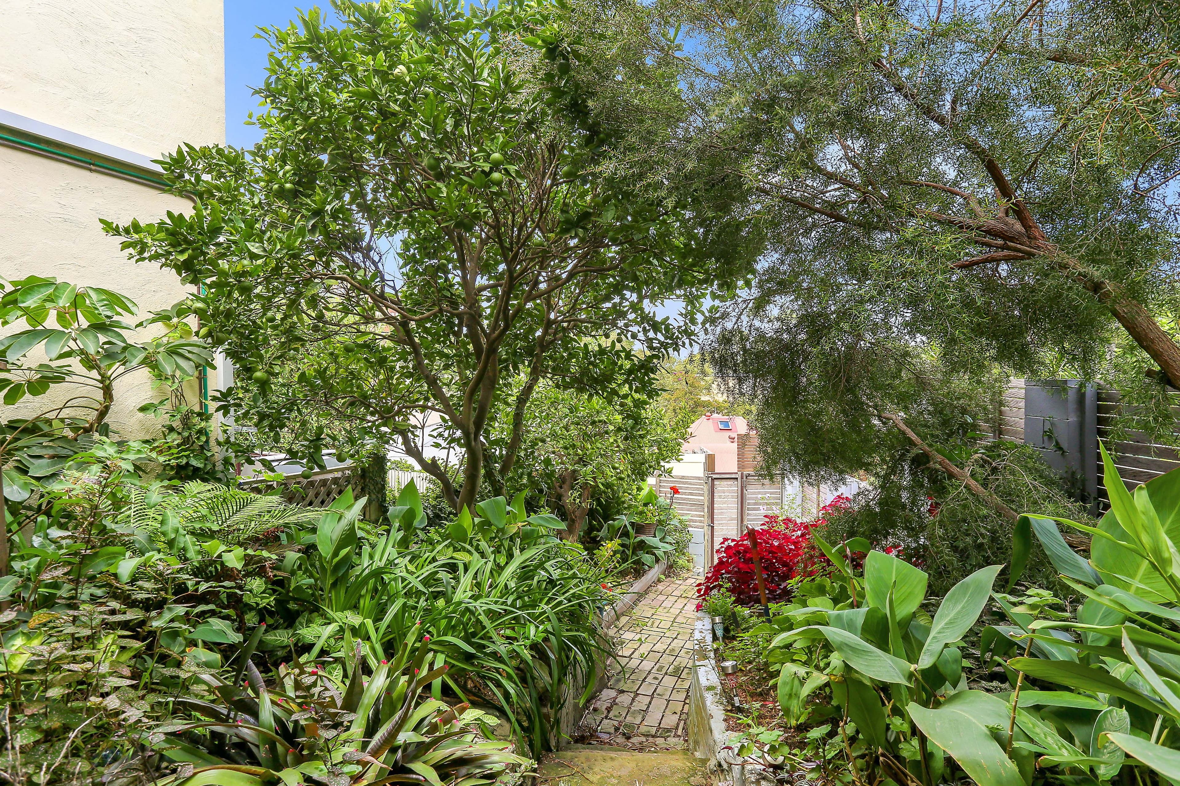 34 Beattie Street, Balmain NSW 2041, Balmain - Thumbnail 4