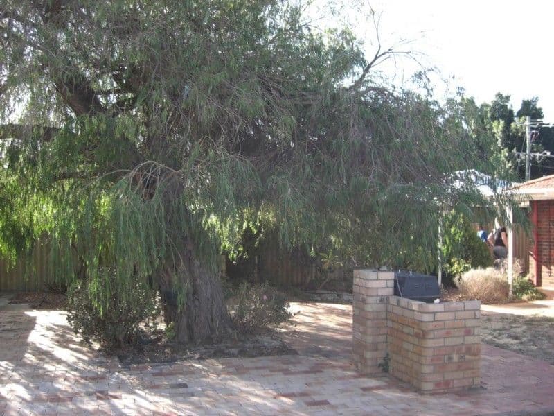 9 Ypres Road, Camillo WA 6111, Camillo - Thumbnail 8