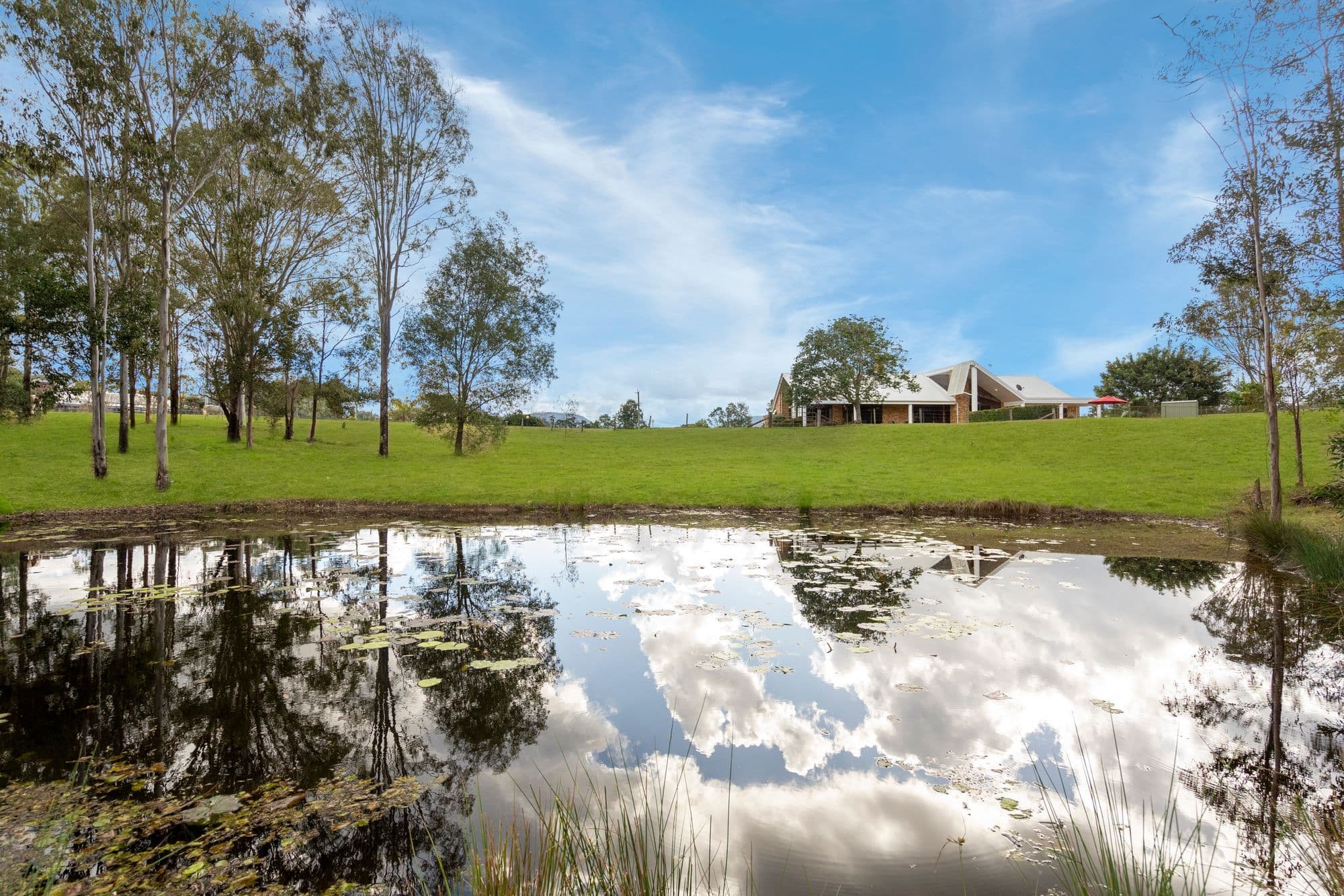 2 Mountain View Court, Samford Valley QLD 4520, Samford Valley - Thumbnail 3