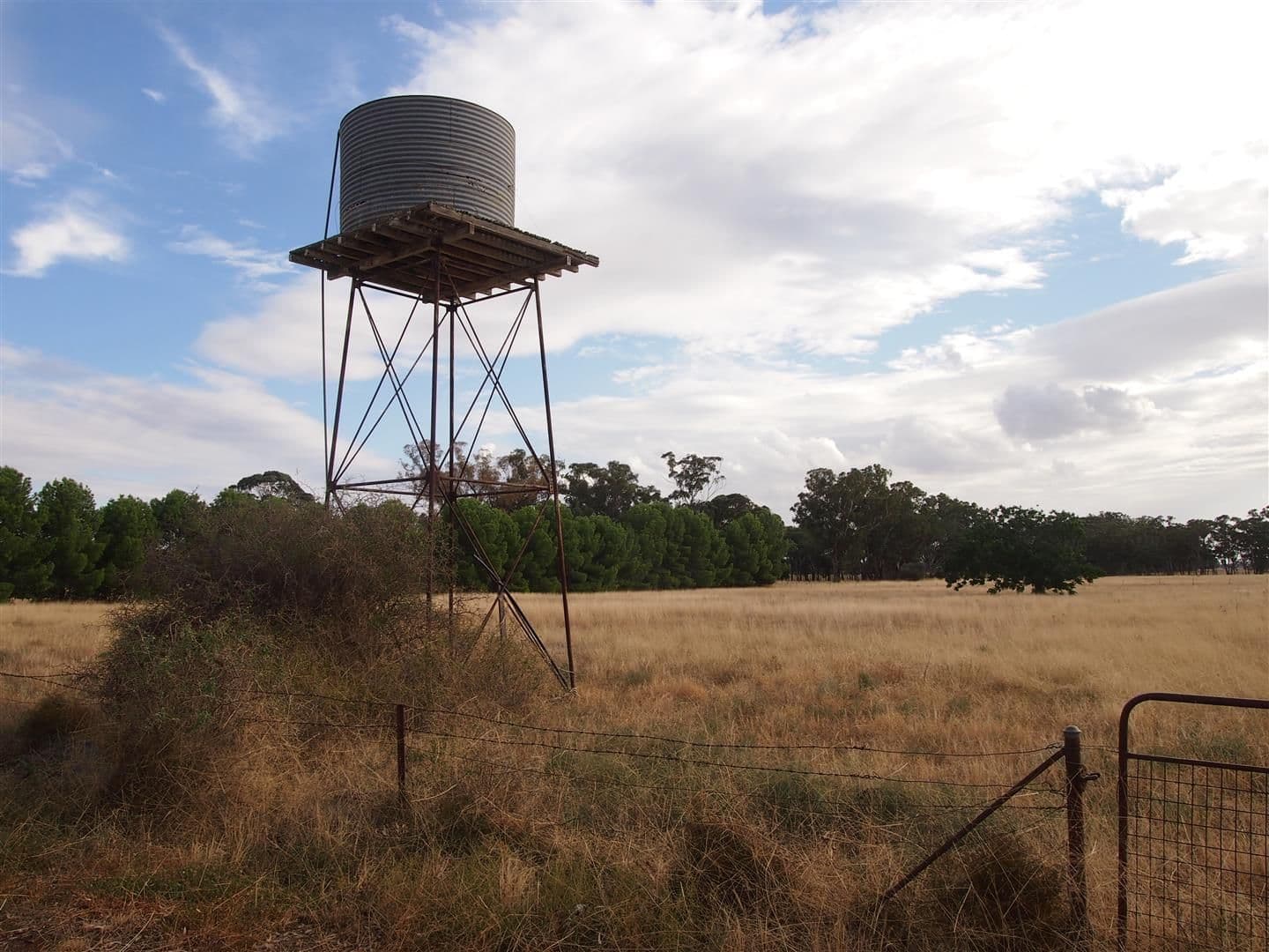 1 Joshroddan, Peak Hill NSW 2869, Peak Hill - Thumbnail 5