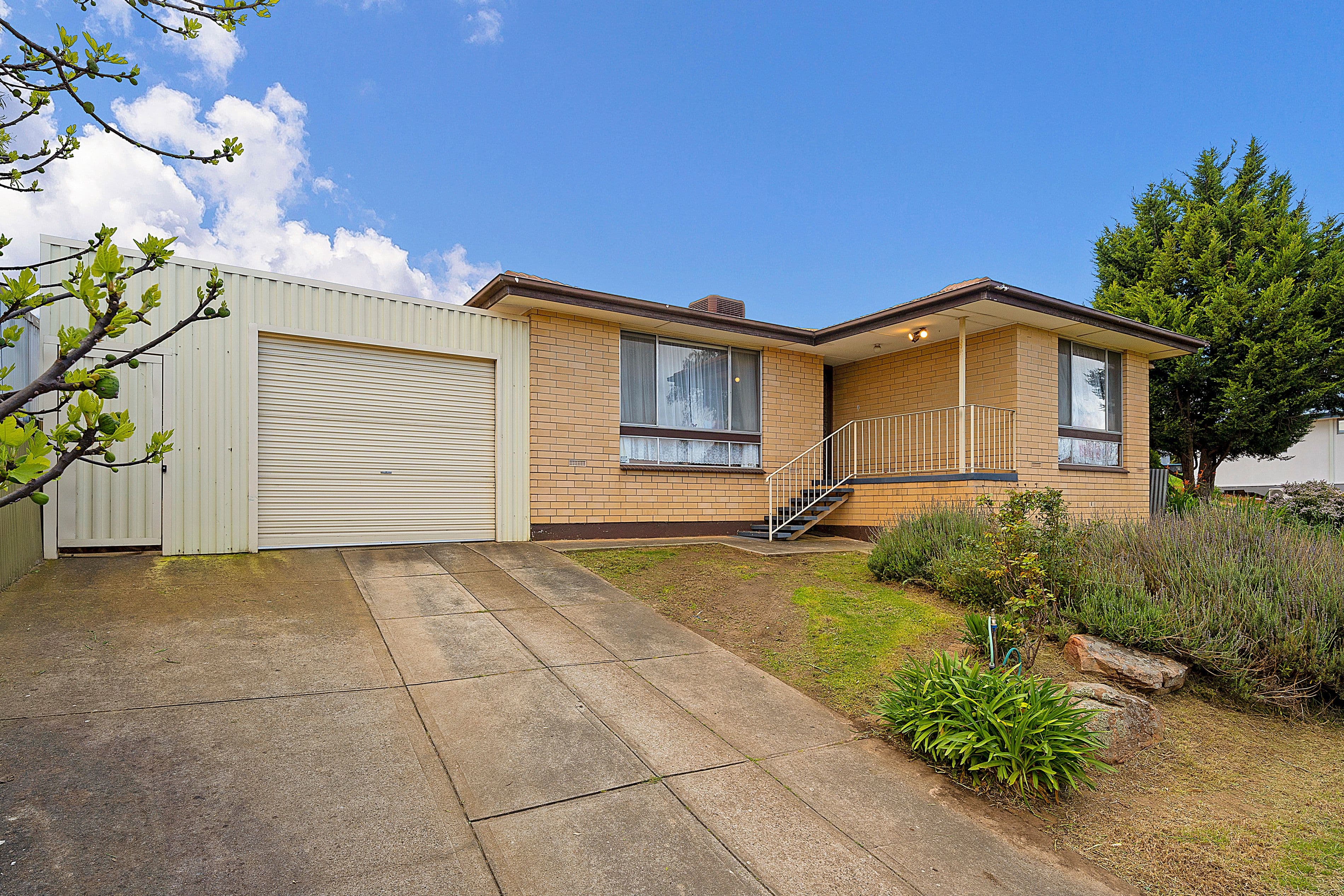 3 Gill Court, Hope Valley SA 5090, Hope Valley - Thumbnail 3