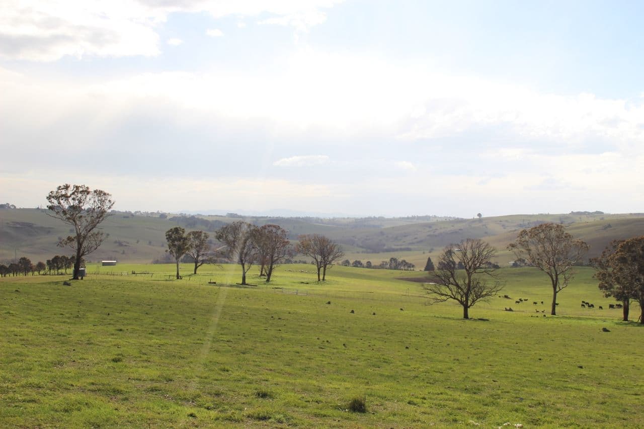 Lot 208 Browns Creek Road, Blayney NSW 2799, Blayney - Image 1