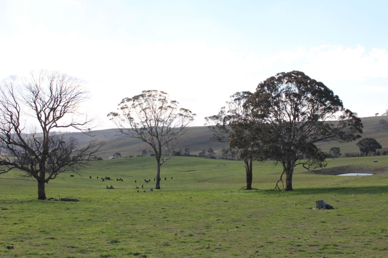 Lot 208 Browns Creek Road, Blayney NSW 2799, Blayney - Thumbnail 2