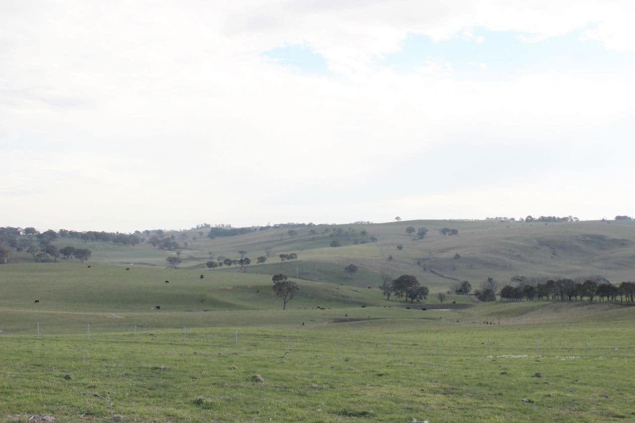 Lot 208 Browns Creek Road, Blayney NSW 2799, Blayney - Thumbnail 3