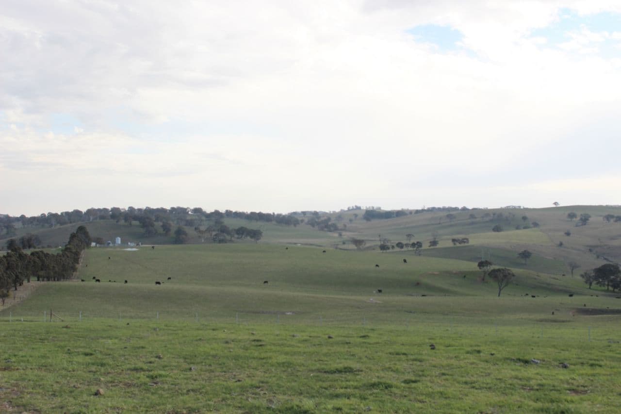 Lot 208 Browns Creek Road, Blayney NSW 2799, Blayney - Thumbnail 4