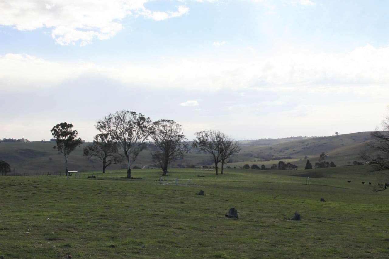 Lot 208 Browns Creek Road, Blayney NSW 2799, Blayney - Thumbnail 5