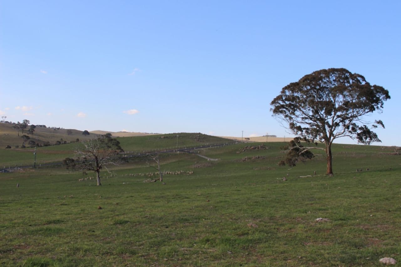Lot 208 Browns Creek Road, Blayney NSW 2799, Blayney - Thumbnail 6