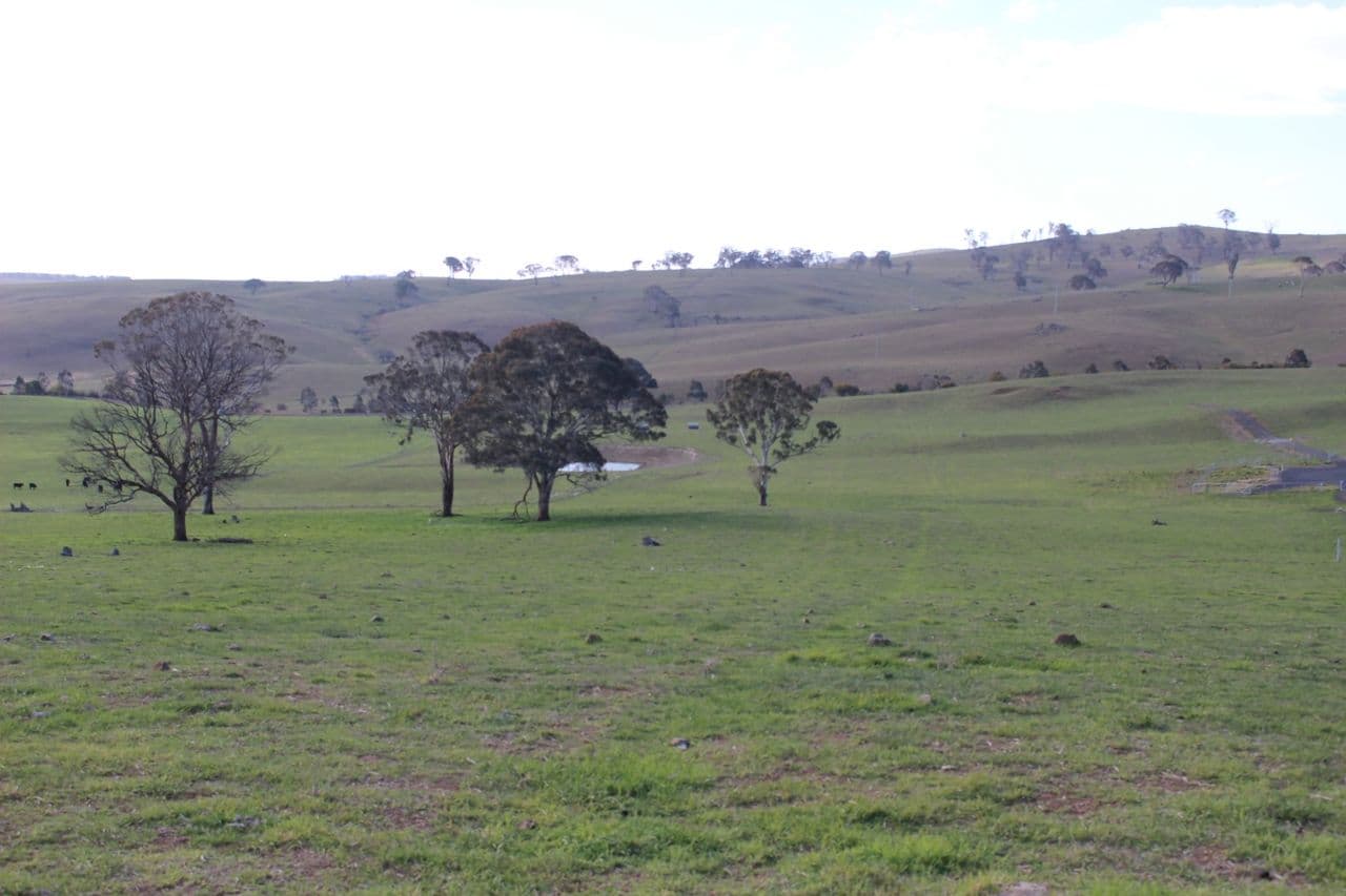 Lot 208 Browns Creek Road, Blayney NSW 2799, Blayney - Thumbnail 7