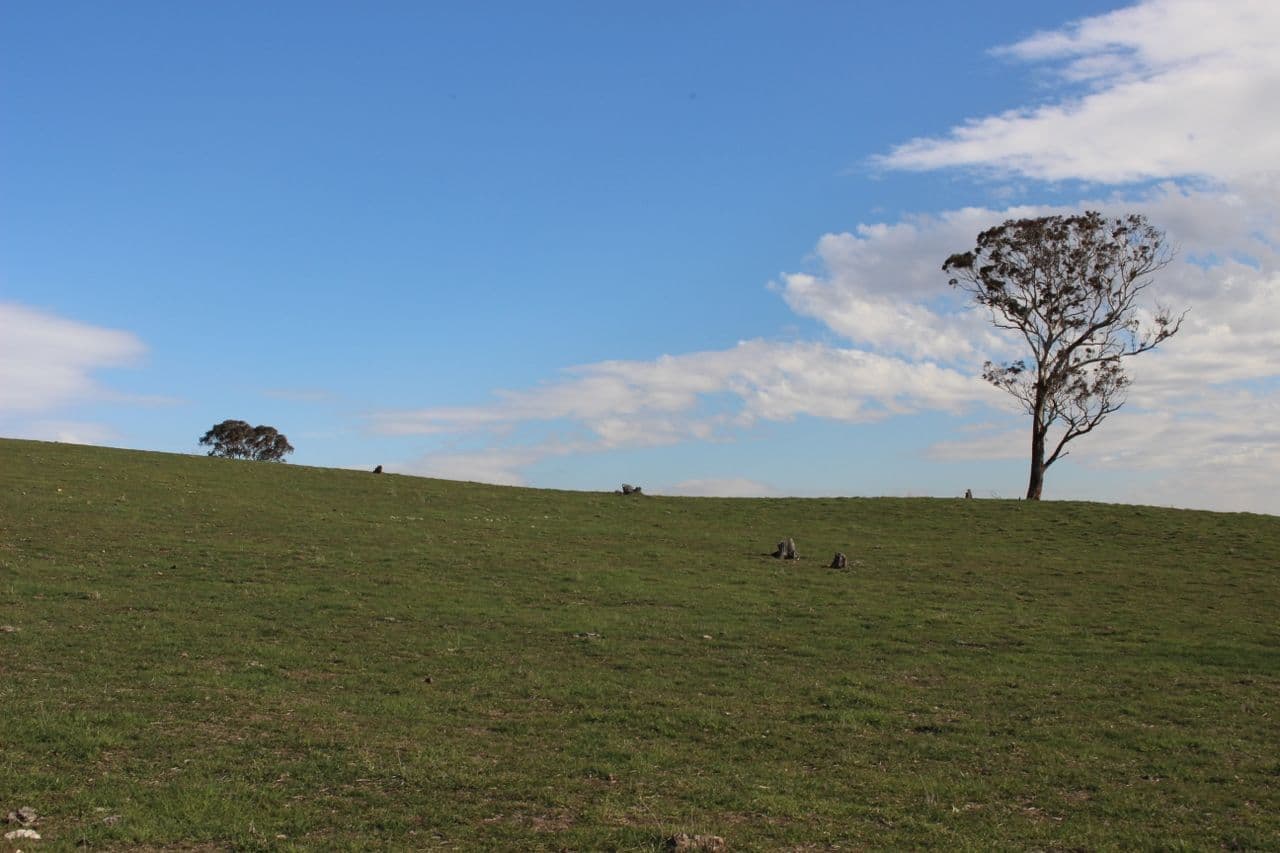 Lot 208 Browns Creek Road, Blayney NSW 2799, Blayney - Thumbnail 8