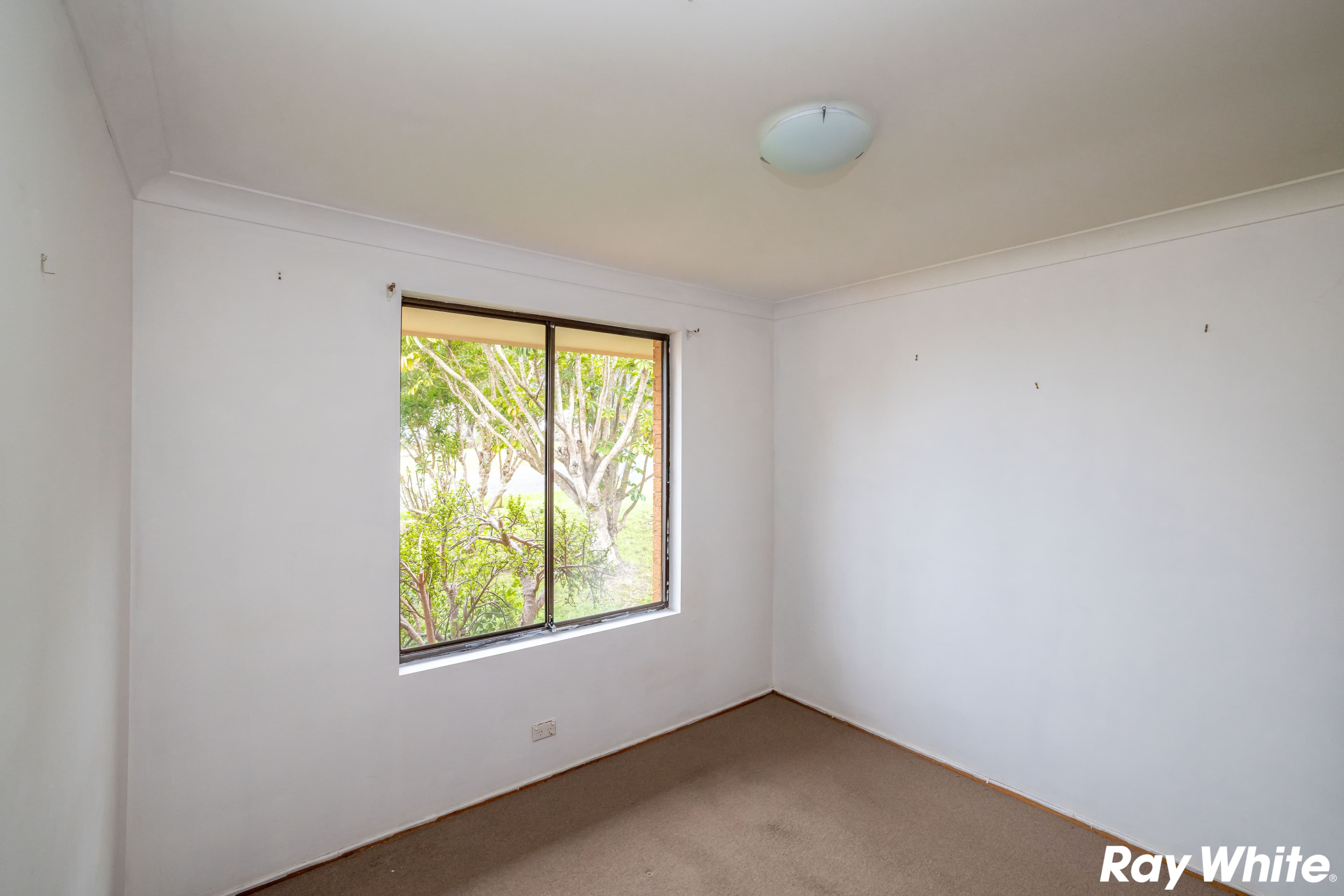 48 South Street, Forster NSW 2428, Forster - Thumbnail 6