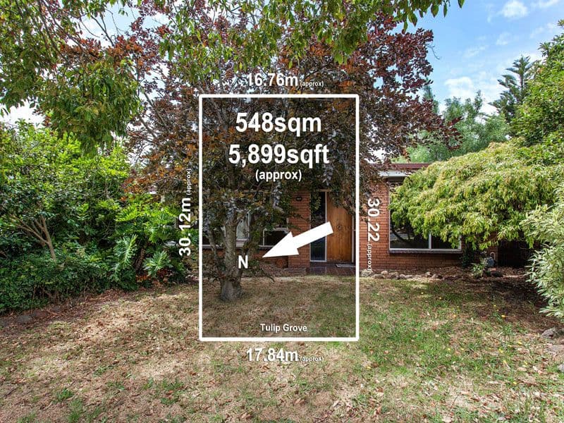 34 Tulip Grove, CHELTENHAM VIC 3192, Cheltenham - Image 1
