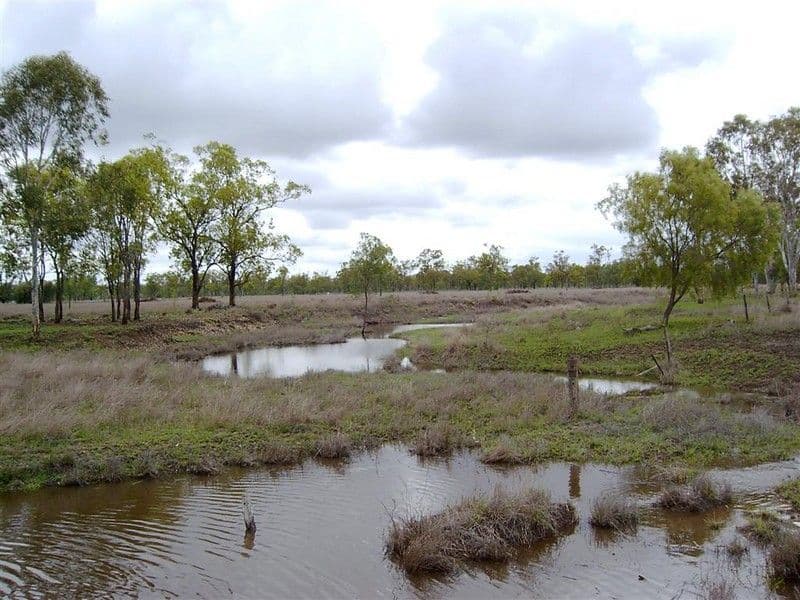 Lot 132 Alton Downs/Nine Mile Road, ALTON DOWNS QLD 4702, Alton Downs - Image 1