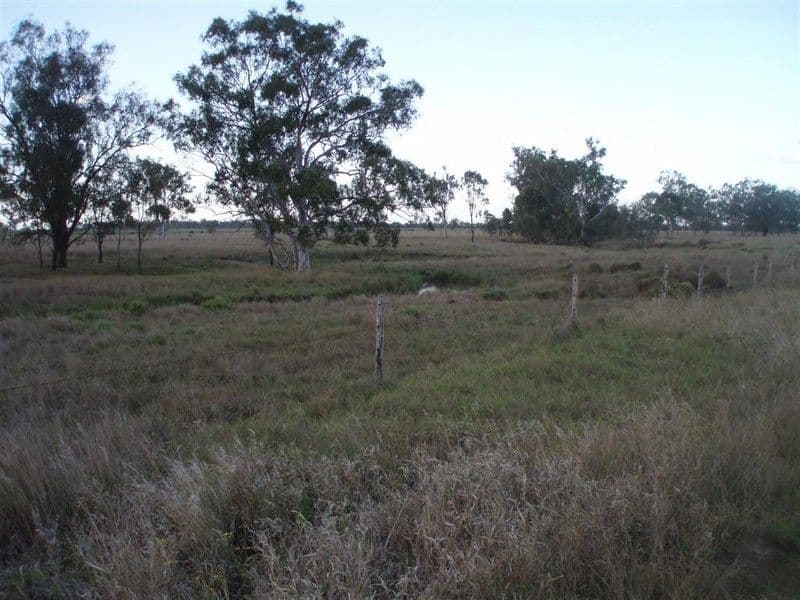 Lot 132 Alton Downs/Nine Mile Road, ALTON DOWNS QLD 4702, Alton Downs - Thumbnail 2