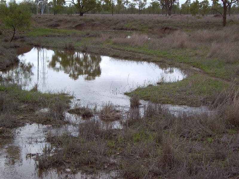 Lot 132 Alton Downs/Nine Mile Road, ALTON DOWNS QLD 4702, Alton Downs - Thumbnail 7